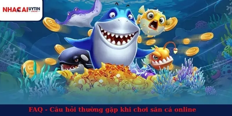 FAQ - Câu hỏi thường gặp khi chơi săn cá online